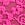 Pink Lace Keyhole Thong Panty