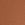 Brown Seamless Thong Panty