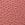 Print Seamless Snake Jacquard Hiphugger Panty