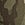 Print Cotton Dorm Fleece Unlined Racerback Bralette