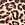 Print Cotton Exploded Logo Lightly Lined Wireless Bra in Exploded Logo