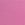 Pink No-Show Mid-Rise Thong Panty