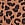 Print 24/7 Lounge Modal Flutter Micro Shorts