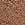 Brown No-Show Mid-Rise Thong Panty