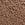Brown No-Show Mid-Rise Bikini Panty