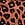 Print Night-Out Stretchy Knit Ruched Flare Pants