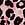 Print PINK Wink™ Flutter Thong Panty in Mesh