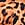 Print Logo Shine Strap Lightly Lined Low-Cut Demi Bra