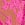 Pink Rose Lace Bows Peekaboo Brazilian Panty