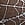 Print Tease Spider Embroidery Unlined Demi Bra
