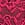 Pink Lacie Sparkle Cheeky Panty