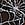 Print Tease Lace High-Leg Thong Panty