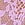 Purple Lace Brazilian Panty