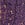 Purple Lace Thong Panty