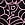 Print PINK Wink™ Lace-Trim Cotton Thong Panty