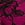 Pink Rose Lace Overlay Cheeky Panty