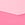 Print 5-Pack No-Show Thong Panties