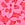 Print 5-Pack Lacie Cheeky Panties