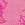 Pink Rose Lace Overlay Cheeky Panty