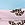 Print 5-Pack Cotton Thong Panties in Smooth