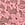 Pink Lace Embroidery Thong Panty