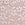 Pink PINK Wink™ Thong Panty in Fall Florals Embroidered