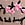 Pink PINK Wink™ Micro Thong Panty
