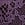 Purple Lace Bikini Panty