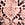 Print Sheer Reveal Unlined Modern Bralette