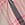 Print PINK Wink™ Flutter Thong Panty in Mesh