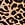 Print Stretch Cotton Ultra-Low Cheeky Panty
