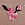 Pink PINK Wink™ String Bikini Panty