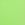 Green Brazilian Bikini Bottom