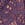 Purple Lace Unlined Front-Close Bralette