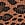 Print Seamless Leopard Rib Boyshort Panty