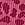 Print Seamless Leopard Rib Hiphugger Panty