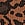 Print Seamless Leopard Rib Hiphugger Panty