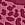 Print Seamless Leopard Rib Bikini Panty