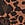 Print Seamless Leopard Rib Bikini Panty