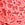 Pink Dot Geo Lace Thong Panty in Geo Lace