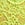 Green Dot Geo Lace Thong Panty