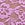 Purple Dot Geo Lace Cheeky Panty