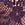 Purple Lace Thong Panty