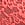 Pink Dot Geo Lace Unlined Balconette Bra in Mesh
