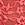 Pink Dot Geo Lace Cheeky Panty